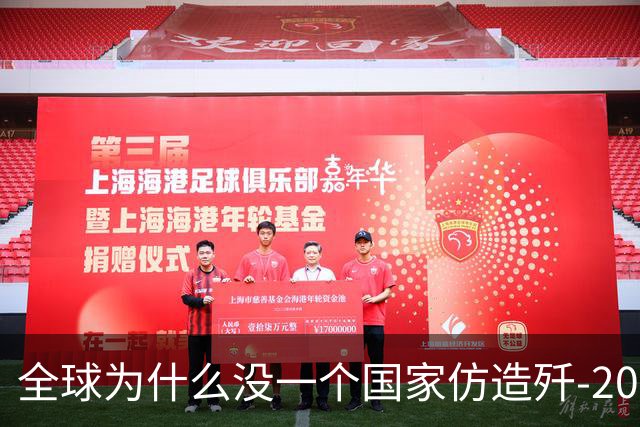 全球为什么没一个国家仿造歼-20，瑞典已破译！
