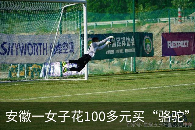 安徽一女子花100多元买“骆驼”冲锋衣，收到货一看，logo竟是一头咧着嘴笑的驴！有人质疑这是擦边，商家：商标已注册，不要只看图片外观