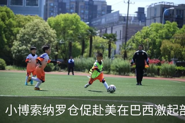 小博索纳罗仓促赴美在巴西激起部分民众愤慨