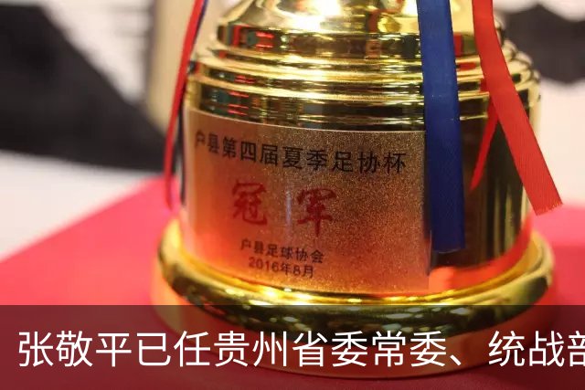 张敬平已任贵州省委常委、统战部部长