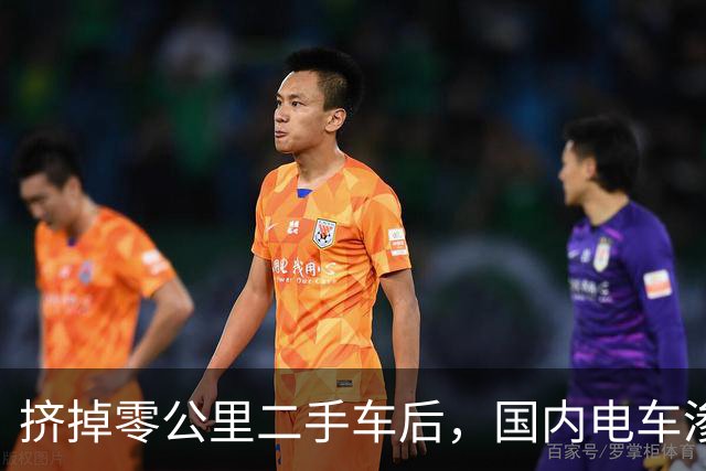 挤掉零公里二手车后，国内电车渗透率大幅下降