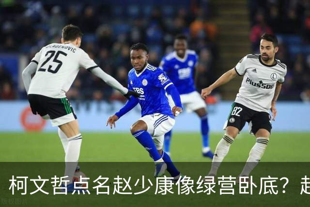 柯文哲点名赵少康像绿营卧底？赵少康急忙回应，柯向郑丽文亮底牌
