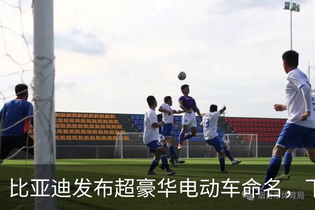 比亚迪发布超豪华电动车命名，下周或将改写行业格局