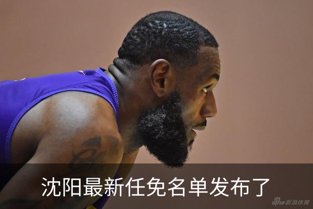 沈阳最新任免名单发布了