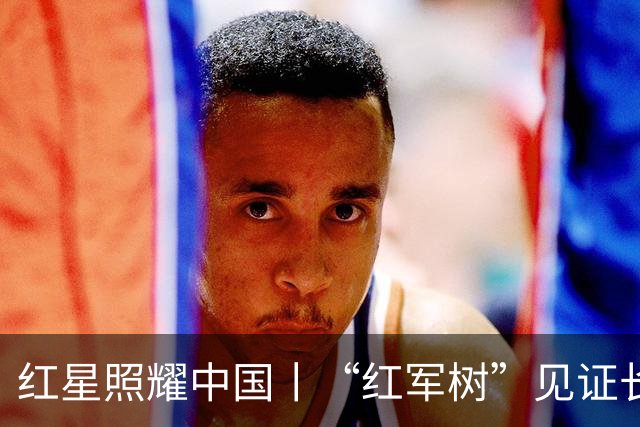 红星照耀中国丨“红军树”见证长征路