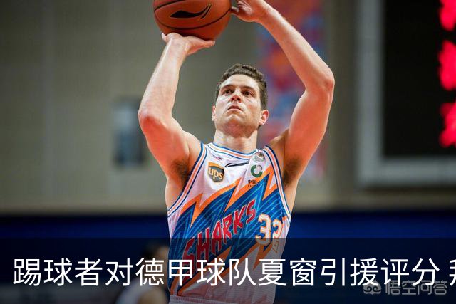 踢球者对德甲球队夏窗引援评分 拜仁第一多特第十