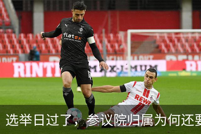 选举日过了，参议院归属为何还要等几周？