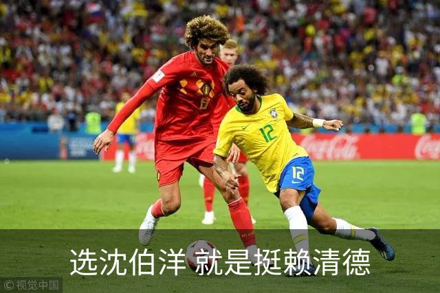选沈伯洋 就是挺赖清德